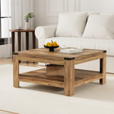 Millwood Pines Zara Square Coffee Table With 2-tier Storage